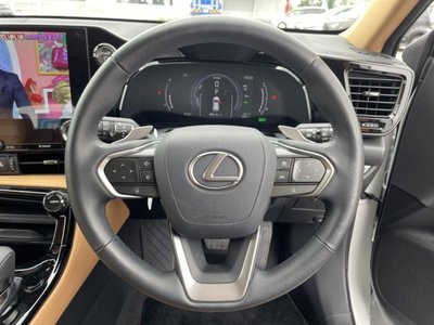 2023 Lexus NX 缩略图 14