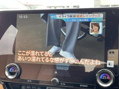 2023 Lexus NX 缩略图 12