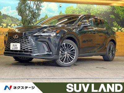 LEXUS RX - 1