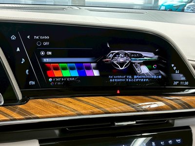 2022 Cadillac ESCALADE 缩略图 40