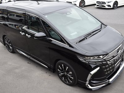 2025 TOYOTA ALPHARD 缩略图 19