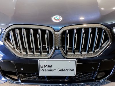 2023 BMW X6 缩略图 14