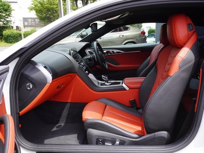 2019 BMW 8 SERIES 缩略图 14