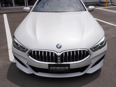 2019 BMW 8 SERIES 照片 4