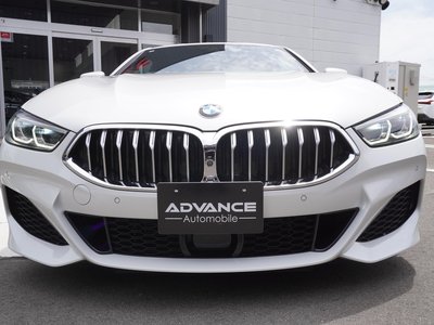 2019 BMW 8 SERIES 照片 5