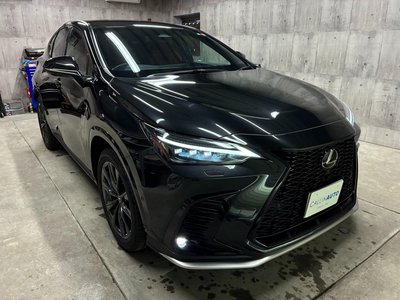 LEXUS NX - 4