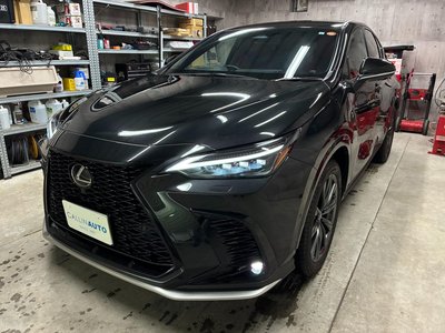 LEXUS NX - 6