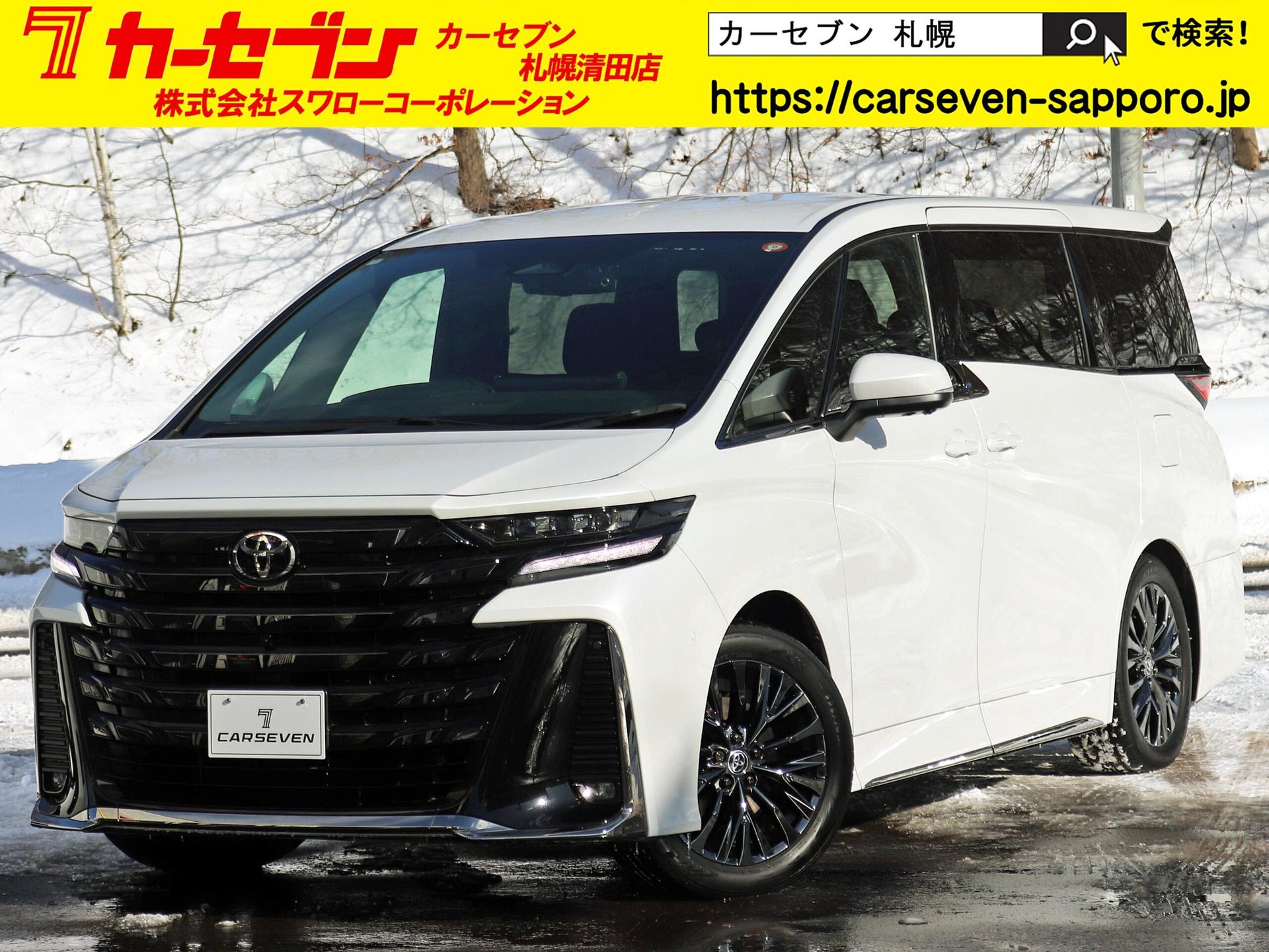 TOYOTA VELLFIRE - View 1