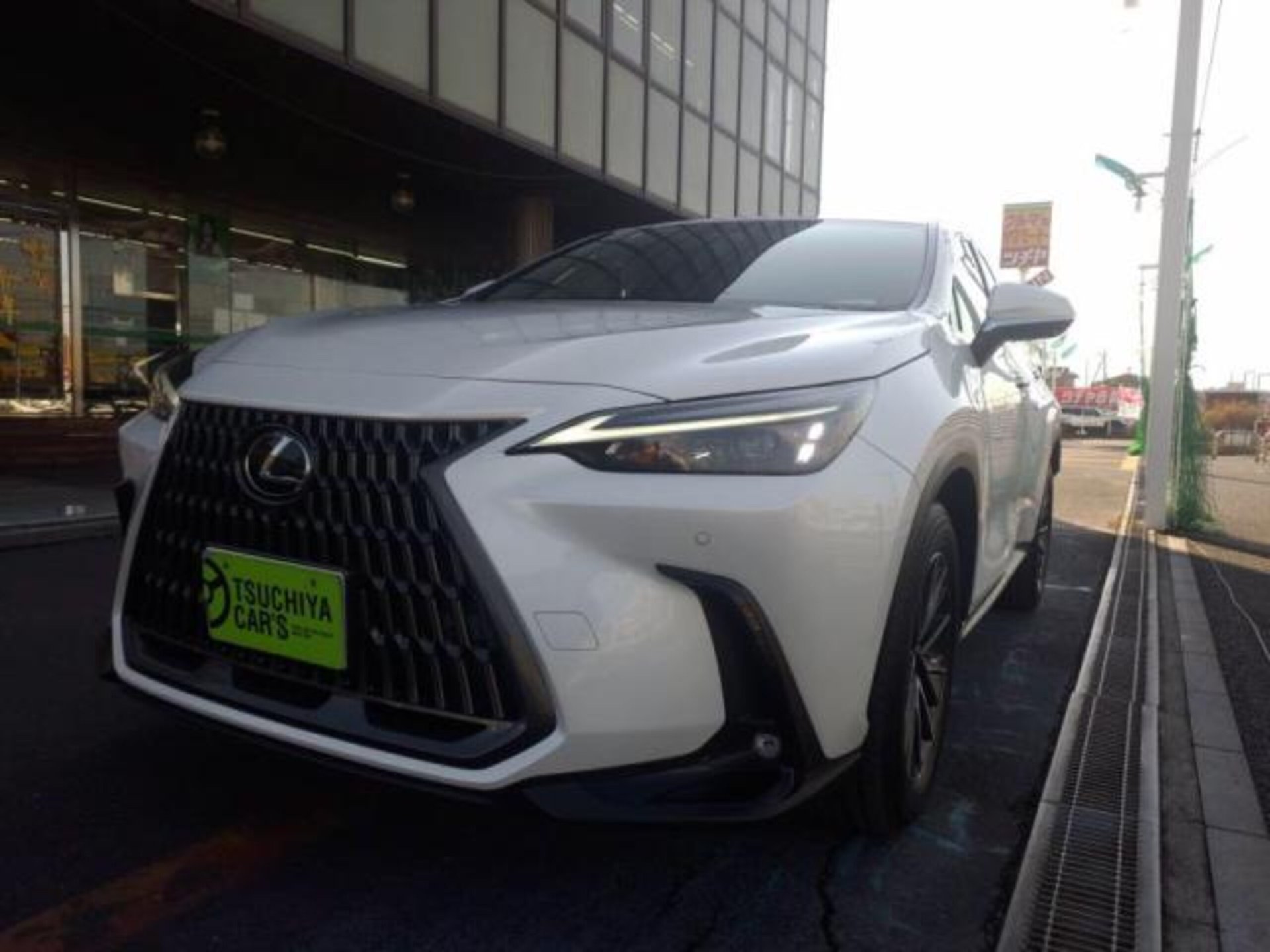 LEXUS NX - View 1