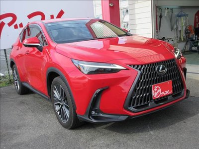 2023 Lexus NX — миниатюра 52