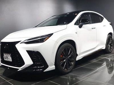 LEXUS NX - 1