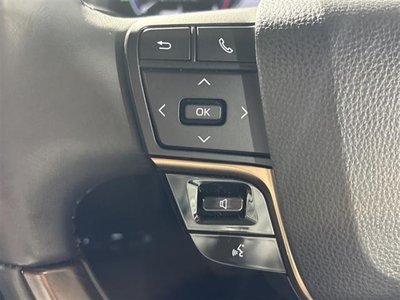 2023 Toyota ALPHARD 缩略图 14