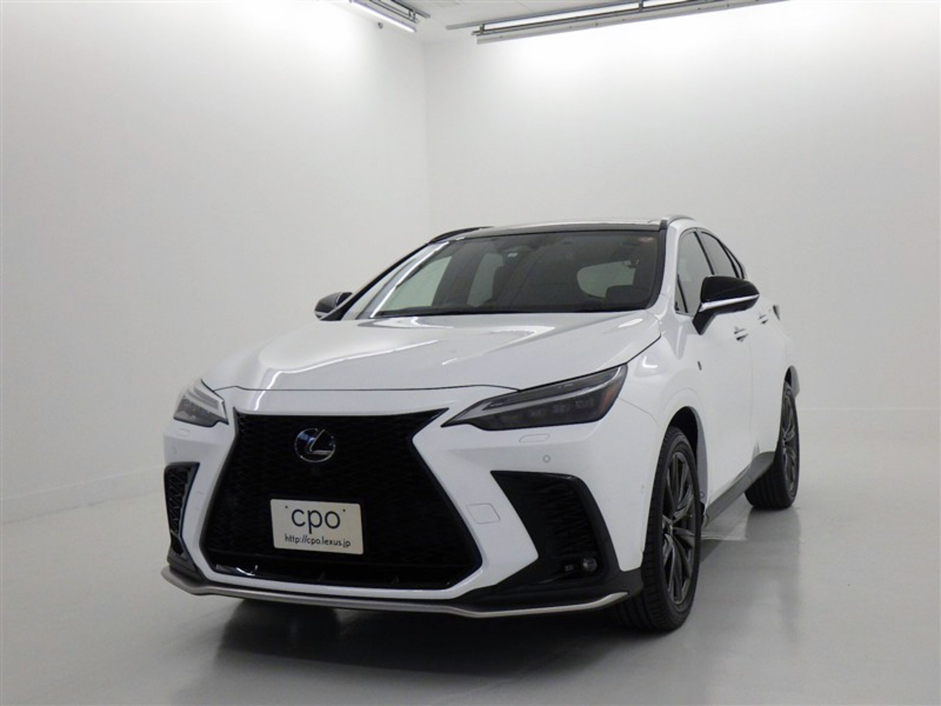 LEXUS NX - View 1