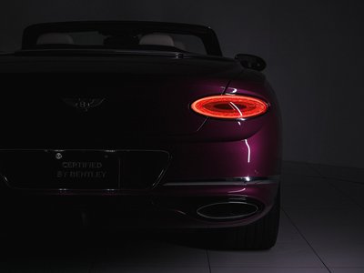 2019 Bentley CONTINENTAL 缩略图 24