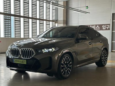 BMW X6 - 1