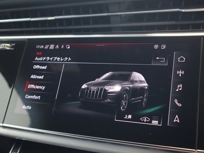 2024 AUDI Q7 — миниатюра 60