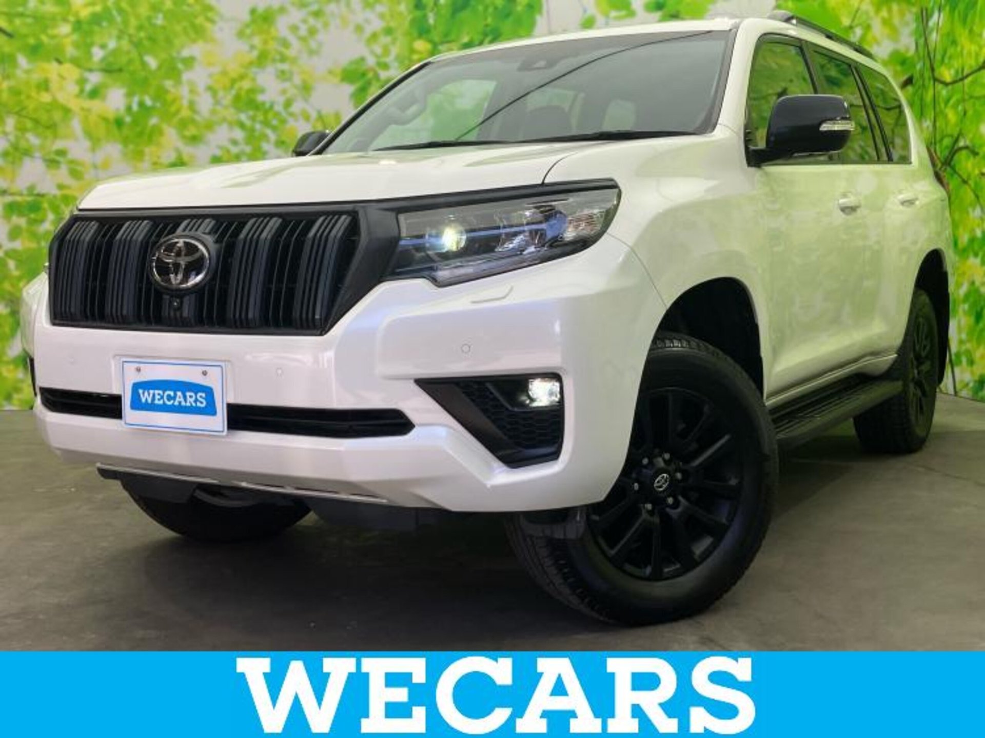 TOYOTA LAND CRUISER PRADO - View 1