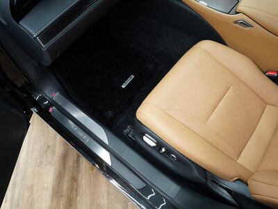 2021 Lexus LS 缩略图 79