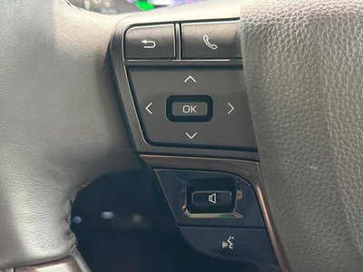 2023 TOYOTA ALPHARD 缩略图 58