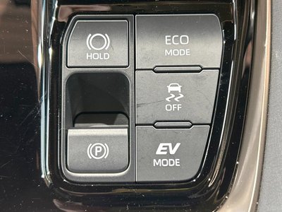 2023 TOYOTA ALPHARD 缩略图 53