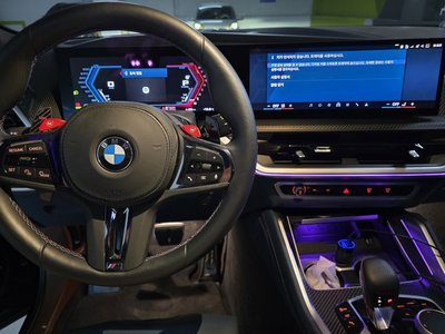 2025 BMW XM photo 8