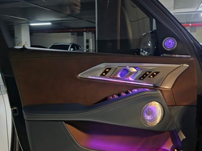 2025 BMW XM — миниатюра 12