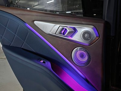 2025 BMW XM — миниатюра 16