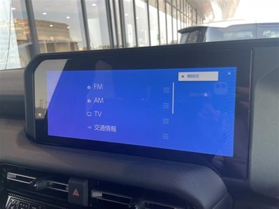 2025 Toyota LAND CRUISER 250 缩略图 11