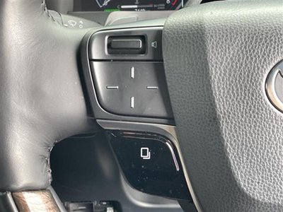 2024 TOYOTA ALPHARD photo 10