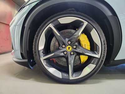 2025 FERRARI PUROSANGUE 照片 6