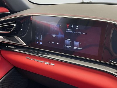 2024 Ferrari PUROSANGUE — миниатюра 13