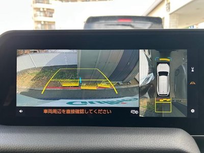 TOYOTA LAND CRUISER 250 - 5