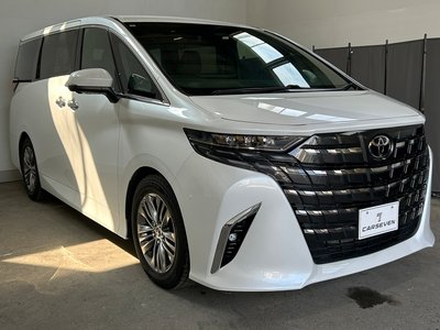 2025 TOYOTA ALPHARD 照片 9