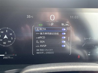 2024 Toyota LAND CRUISER 250 照片 6