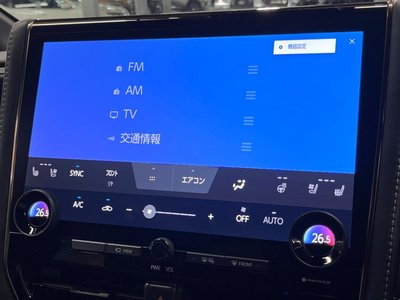 2024 TOYOTA ALPHARD 缩略图 47