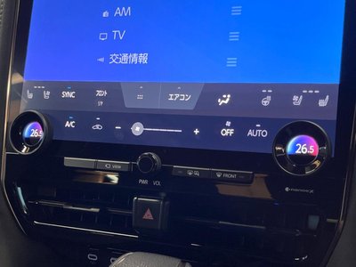 2024 TOYOTA ALPHARD 缩略图 49