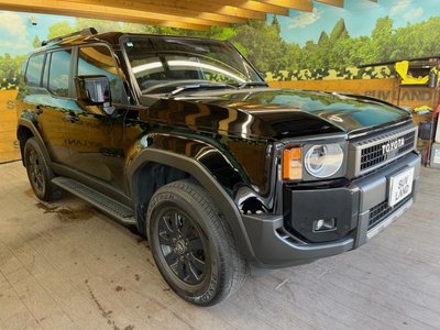 2024 Toyota LAND CRUISER 250 缩略图 16