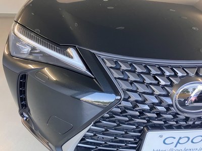 2025 Lexus UX 照片 6