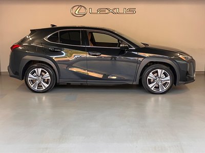 2025 Lexus UX 照片 10