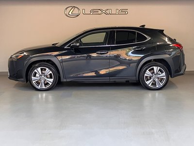 2025 Lexus UX 缩略图 11