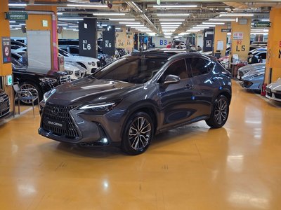 LEXUS NX - 1