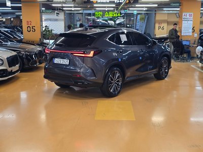 LEXUS NX - 5