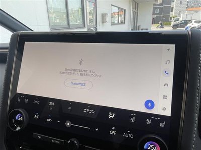TOYOTA ALPHARD - 10