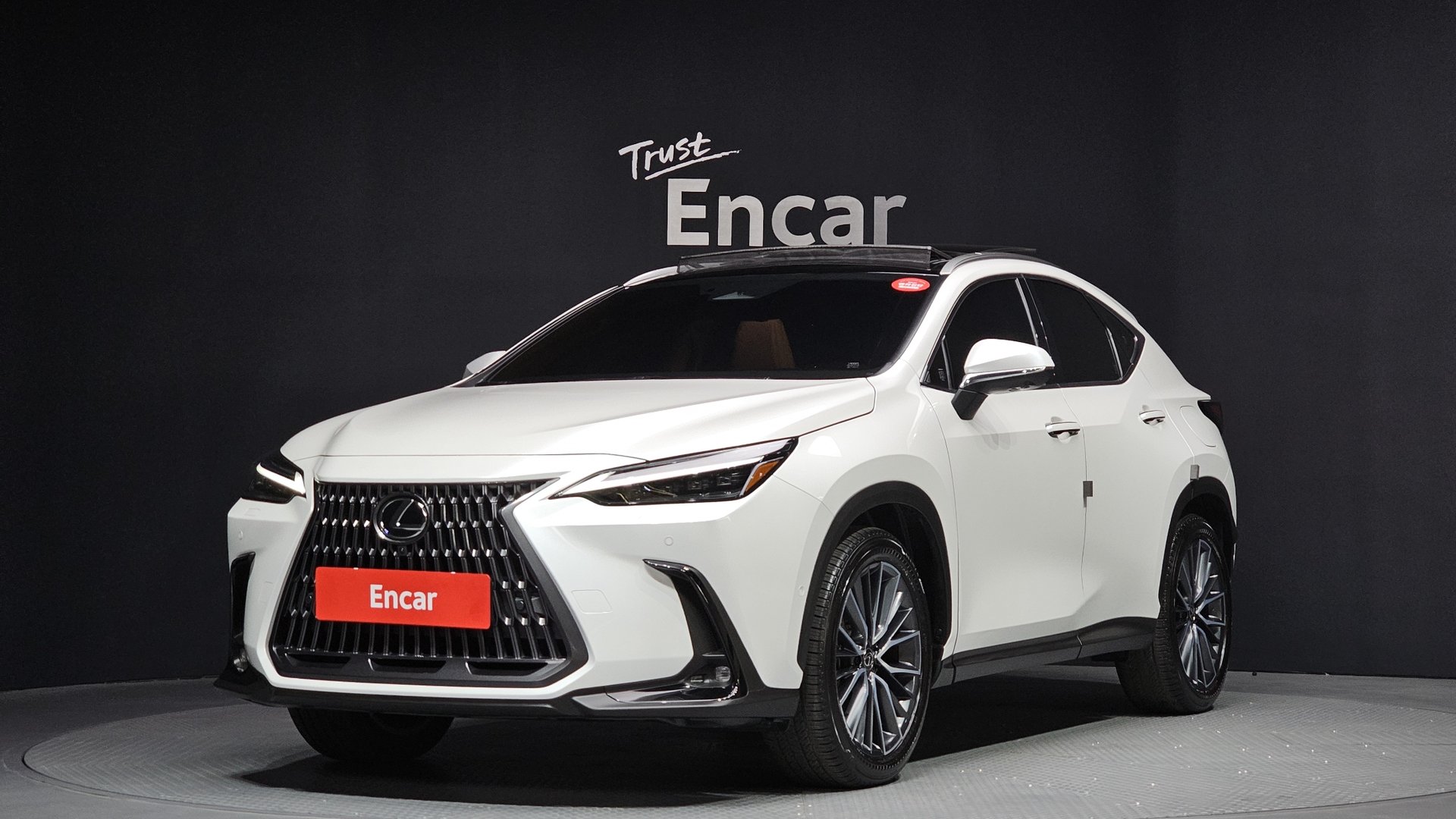 LEXUS NX - View 1