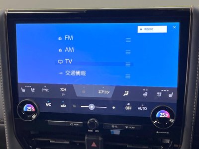 2025 TOYOTA ALPHARD 缩略图 25