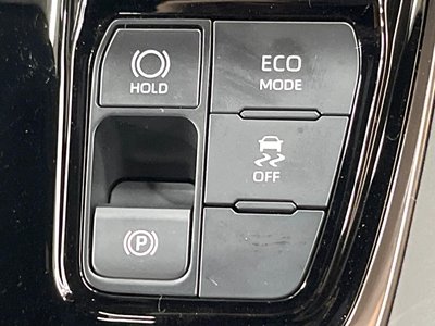 2025 TOYOTA ALPHARD 缩略图 44