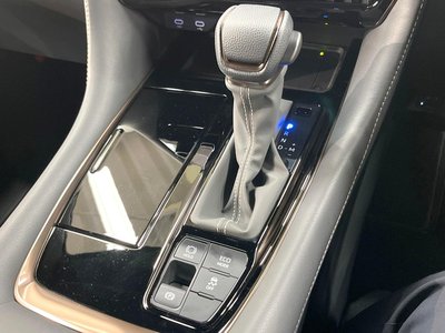 2025 TOYOTA ALPHARD 缩略图 21