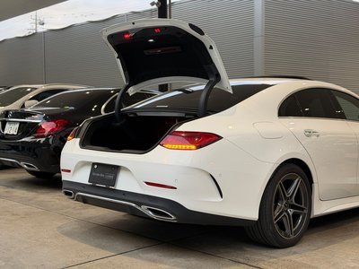 2020 Mercedes-BENZ CLS — миниатюра 17