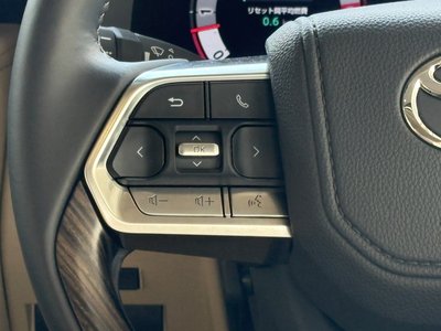 2025 Toyota LAND CRUISER 300 缩略图 58
