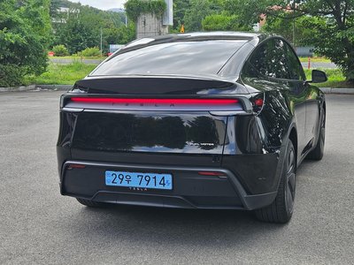 2025 Tesla MODEL Y photo 6